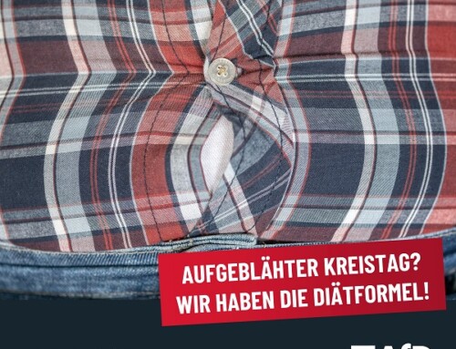 AfD stellt Antrag gegen aufgeblähten Kreistag