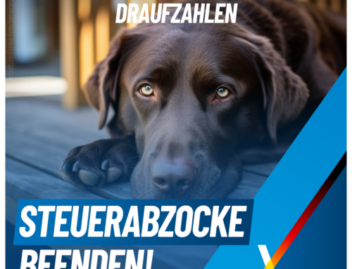 Monheim: Hundebesitzer werden für Prestigeprojekte geschröpft!